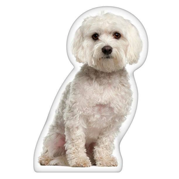 maltese pillow