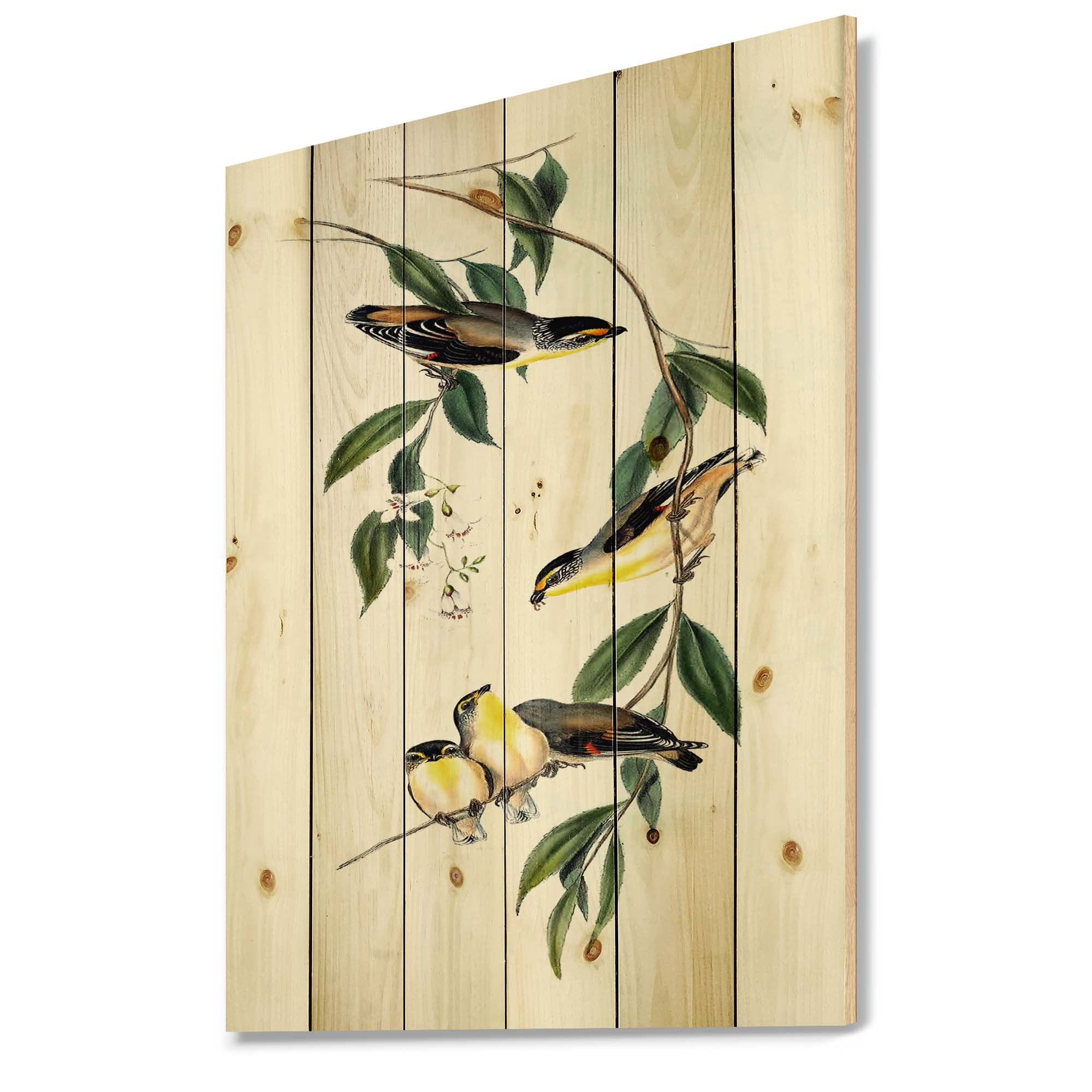 Designart 'Ancient Bird III' Traditional Print on Natural Pine Wood