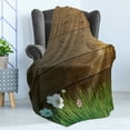 thumbnail image 4 of Flower Soft Flannel Fleece Throw Blanket, Digitally Drawn Daisy Field in Front of Wooden Fences Sunny Foliage Theme, Cozy Plush for Indoor and Outdoor Use, 60" x 80", Green Brown, by Ambesonne, 4 of 5