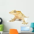 thumbnail image 1 of Crested Gecko White Wall Mural by Wallmonkeys Peel and Stick Graphic (24 in W x 17 in H) WM230635, 1 of 4