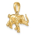 thumbnail image 5 of 14K Yellow Gold Charm Pendant Themed Men'S 16 mm 19, 5 of 5