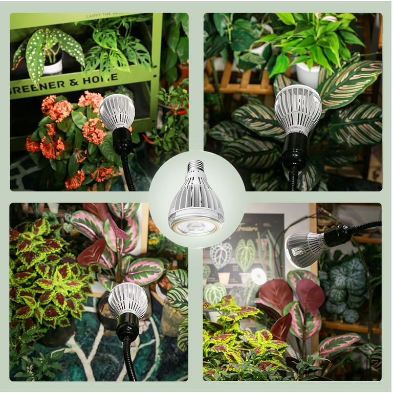 elephant ear plant artificial Artificial Monstera Plant  5.3 ft