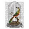 thumbnail image 2 of Fab Funky 20x24 White Modern Wood Framed Museum Art Print Titled - Bird In Bell Jar, 2 of 4