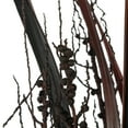 thumbnail image 3 of Vickerman 36" Dark Brown Bahia Spears Seeded, 9 stems, Dried, 3 of 5