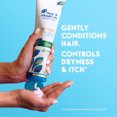 thumbnail image 2 of Head & Shoulders Supreme Sulfate Free Nourish Anti-Dandruff Conditioner, 2 of 9