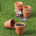 thumbnail image 4 of Xinyat 20pcs 3.5cm Small Terracotta Pots, Clay Ceramic Cactus Flower Pots, Planter, Great for Plants, Crafts, Wedding Favors, 4 of 5