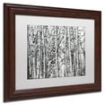 thumbnail image 3 of Trademark Fine Art "Winter Aspens" Canvas Art by Roderick Stevens White Mat, Wood Frame, 3 of 5