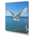 thumbnail image 2 of Designart "Gull'S Seaside Vista I" Coastal Wall Art Living Room, 2 of 7