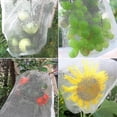 thumbnail image 1 of 100 Pcs Sac de Protection pour Bouquet 23x17cm Sac en Organza pour Pamplemousse avec Cordon de Serrage, 1 of 3