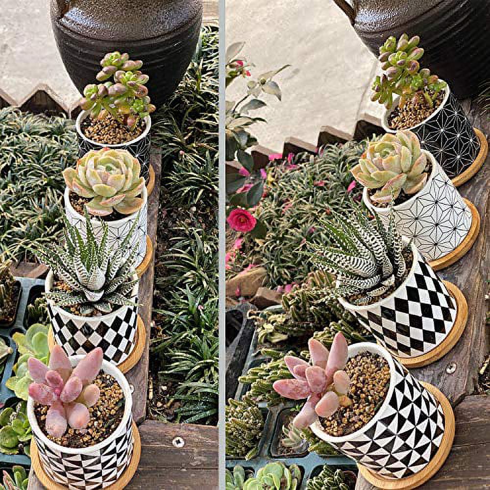 Succulent Plants Pots，3.2 Inch Planter Pots Geometry Pots for Plants Flower Pots Indoor&Outdoor Ceramic Plants Pots for Cactus with Drain Hole and Bamboo Tray ，Perfect Gift Idea Set of 4 - image 5 of 7