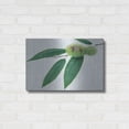 thumbnail image 3 of Luxe Metal Art 'Chestnut' by Zigen Tanabe, Metal Wall Art, 24"x16", 3 of 7