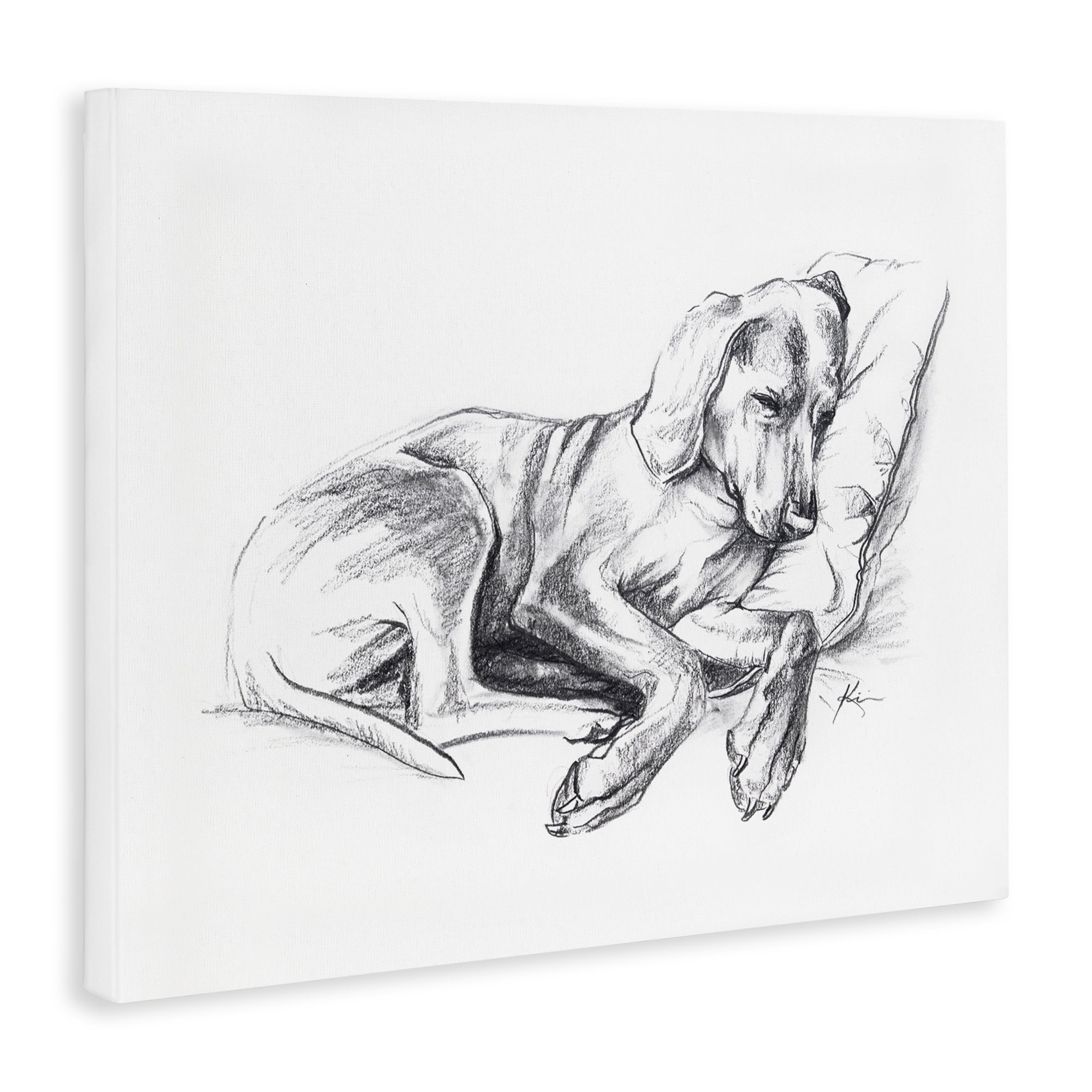 Stupell Industries Napping Dog Drawing Animals Drawing Wrapped Canvas Art Print Wall Art, 40 x 30