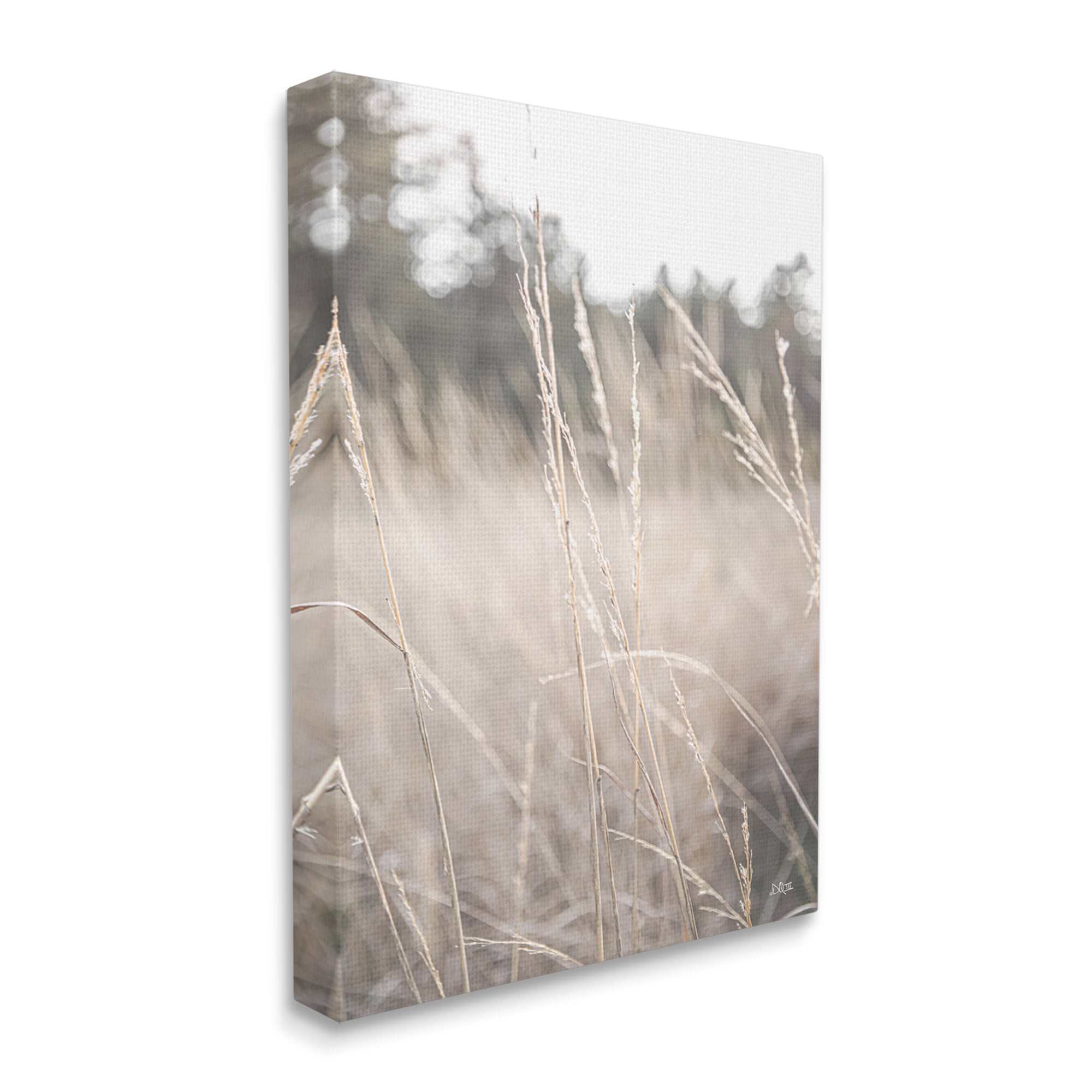 Stupell Industries Warm Rural Field Tall Grass Countryside Scenery Canvas Wall Art, 30 x 40, Design by Donnie Quillen