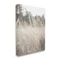 thumbnail image 3 of Stupell Industries Warm Rural Field Tall Grass Countryside Scenery Canvas Wall Art, 30 x 40, Design by Donnie Quillen, 3 of 7