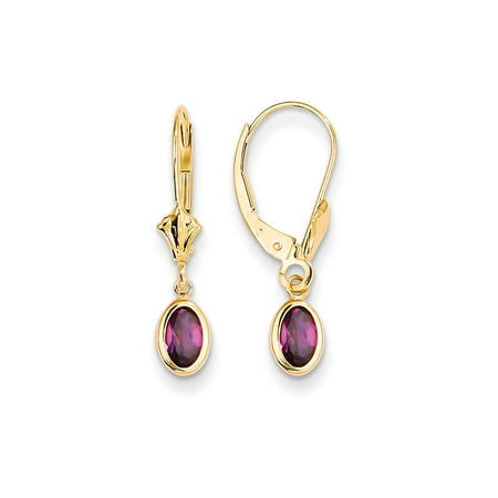 14K Yellow Gold 6 x 4 MM Oval Bezel June Birthstone Rhodolite Lever back Earrings