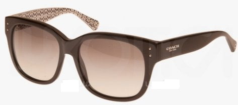 coach sienna sunglasses