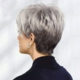 thumbnail image 2 of Riforla Wig European and American Short Curly Hair Grandma Gray Partial Headgear Wig Wigs for Women Multicolor, 2 of 9