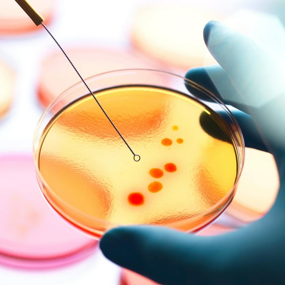 BESTYASH 20Pcs Agar Plates Multi Science Experiment Supplies for Lab