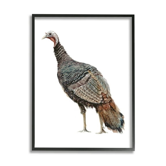 Stupell Industries Wild Turkey Bird Watercolor Painting Kids' Nursery Animal, 11 x 14,Design by Fox Hollow Studios