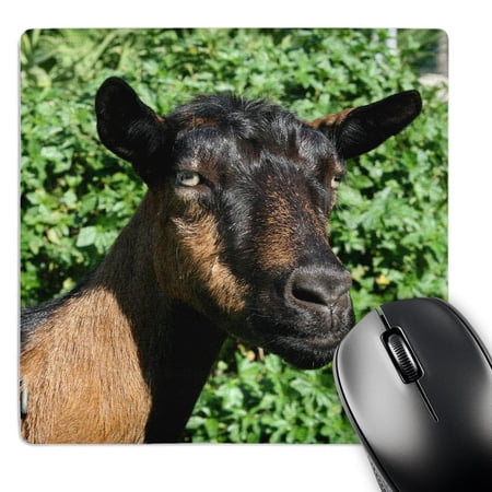 3dRose  oberhasli goat doe side view   MousePad price history on PriceWatchPro