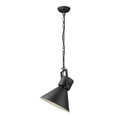 

HomeRoots 398265 20.5 x 17.75 x 17.75 in. Crew 1-Light Matte Black Pendant