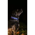 thumbnail image 3 of CollarDirect Reflective Dog Collar for a Small Medium Large Dog or Puppy with a Quick Release Buckle - Boy and Girl - Nylon Suitable for Swimming (10-13 Inch Blue), 3 of 5