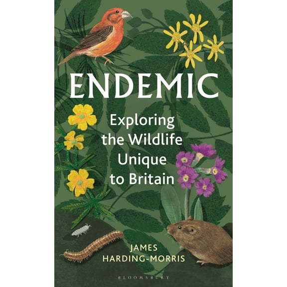 Endemic: Exploring the Wildlife Unique to Britain, (Hardcover)