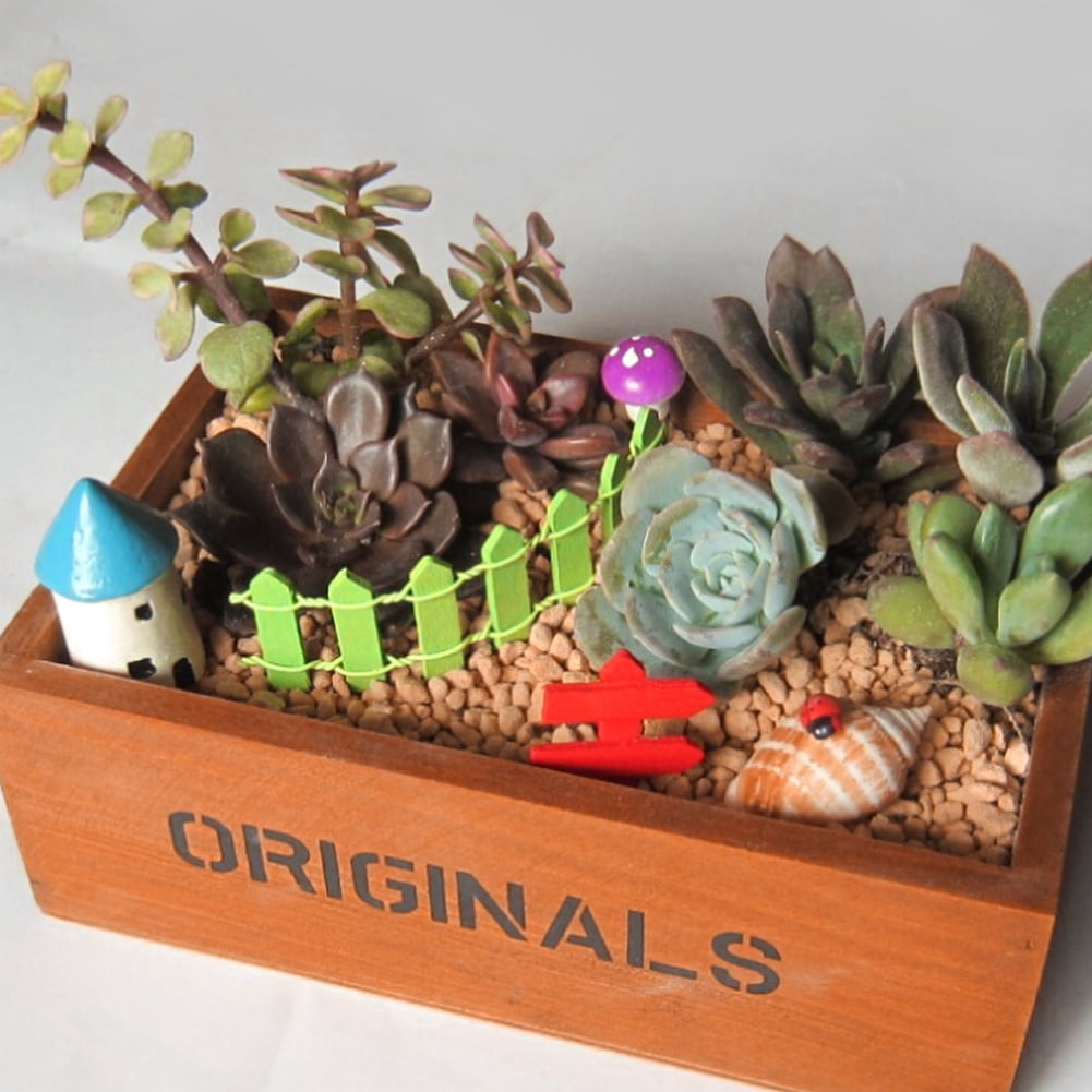 Wood Succulent Planter Cactus Bonsai Micro Landscape Flower Pots Plant Pot Decor