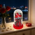 thumbnail image 6 of RBCKVXZ Preserved Rose LED Lantern - Handmade Glass Cloche Dried Flower Lamp, Gift for Her & Graduation/Valentine's Day Decor, 6 of 6