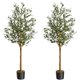 thumbnail image 1 of QinaQin Árbol de olivo artificial alto de 4/5/6 pies, planta de seda en maceta con tronco de madera y frutos realistas para decoración interior del hogar u oficina, 1 of 9