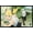 Black Framed Version, variant on Kaiju No. 8 - Kaiju Hyakkei Visual 6 Wall Poster, 22.375" x 34"