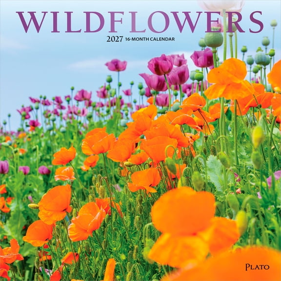Wildflowers | 2027 12x24" (Hanging) Wall Calendar | Foil Stamped Cover | Plato