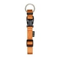 thumbnail image 1 of Zeus Adjustable Nylon Dog Collar, Medium, 1 of 3