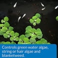 thumbnail image 3 of Botella de 9,46 litros Algae Control API POND ALGAEFIX, 3 of 5