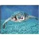 thumbnail image 1 of Cuadro Decorativo - Tortuga marina Jr  Impresión en canvas, estrechado, 1 of 2