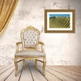 thumbnail image 3 of Grandmaison, Mike 14x11 Gold Ornate Wood Framed with Double Matting Museum Art Print Titled - Canada, Great Sand Hills Pattern in sand dunes, 3 of 4