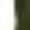 Army Green, variant on Women's High Waisted Wide Leg Leggings Pull On Elastic Waist Breathable Pants for Casual Streetwear Army Green XL