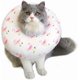 thumbnail image 1 of Cat Cone Adjustable Recovery Collar Soft After Surgery for Cats Wound Healing Protective E Collar Elizabethan Collars -, 1 of 4