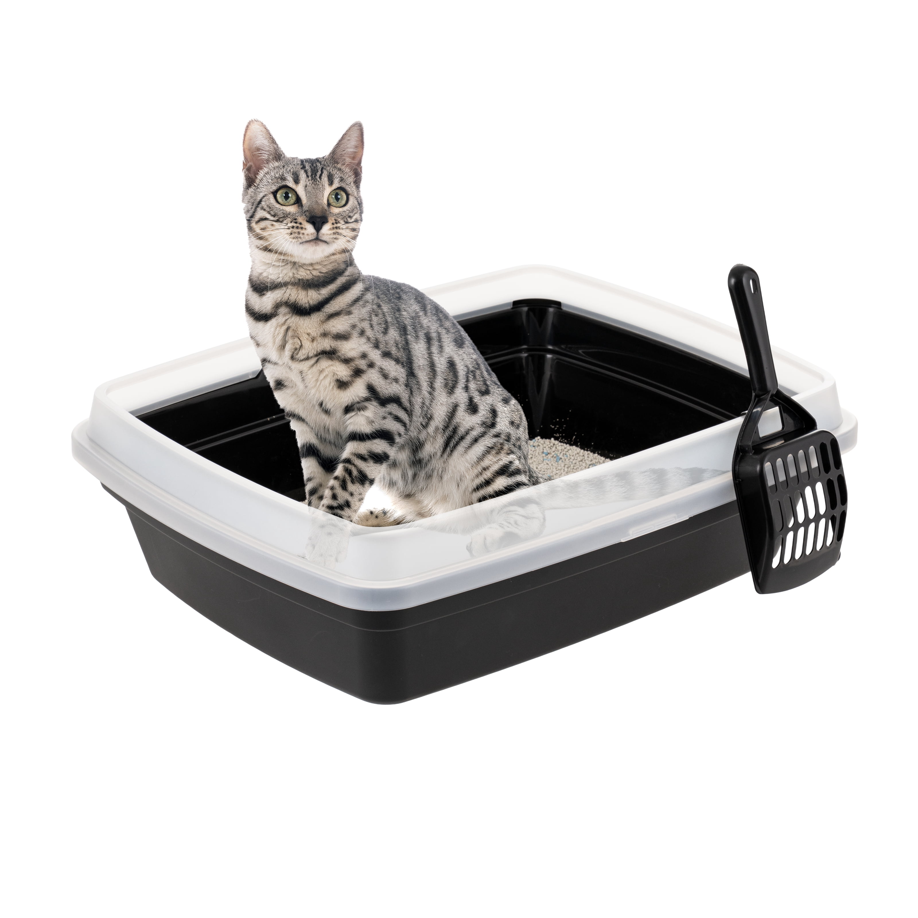 'IRIS Open Top Cat Litter Box with Scoop, Plastic Pan , Black