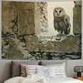 thumbnail image 2 of Orinice Owl Tapestry Wall Hanging Unique Style Graphic Tapestries Home Wall Decor Art for Living Room Bedroom Dorm Apartment Farmhouse - Decorations for Dorm 40x60inch, 2 of 6