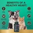 thumbnail image 5 of VetriScience Cardio Strength Omega Healthy Heart Easy-Open Capsules, Taurine Supplement for Dogs & Cats, 90 Count, 5 of 6