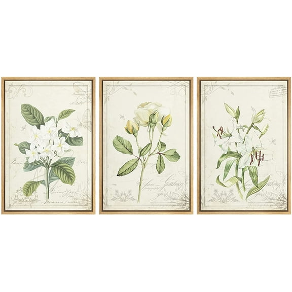 wall26 Framed Canvas Print Wall Art Set White Rose & Lily Vintage Victorian Flowers Nature Floral Illustrations Realism Rustic Scenic Wilderness for Living Room, Bedroom, Office - 24"x36&quo