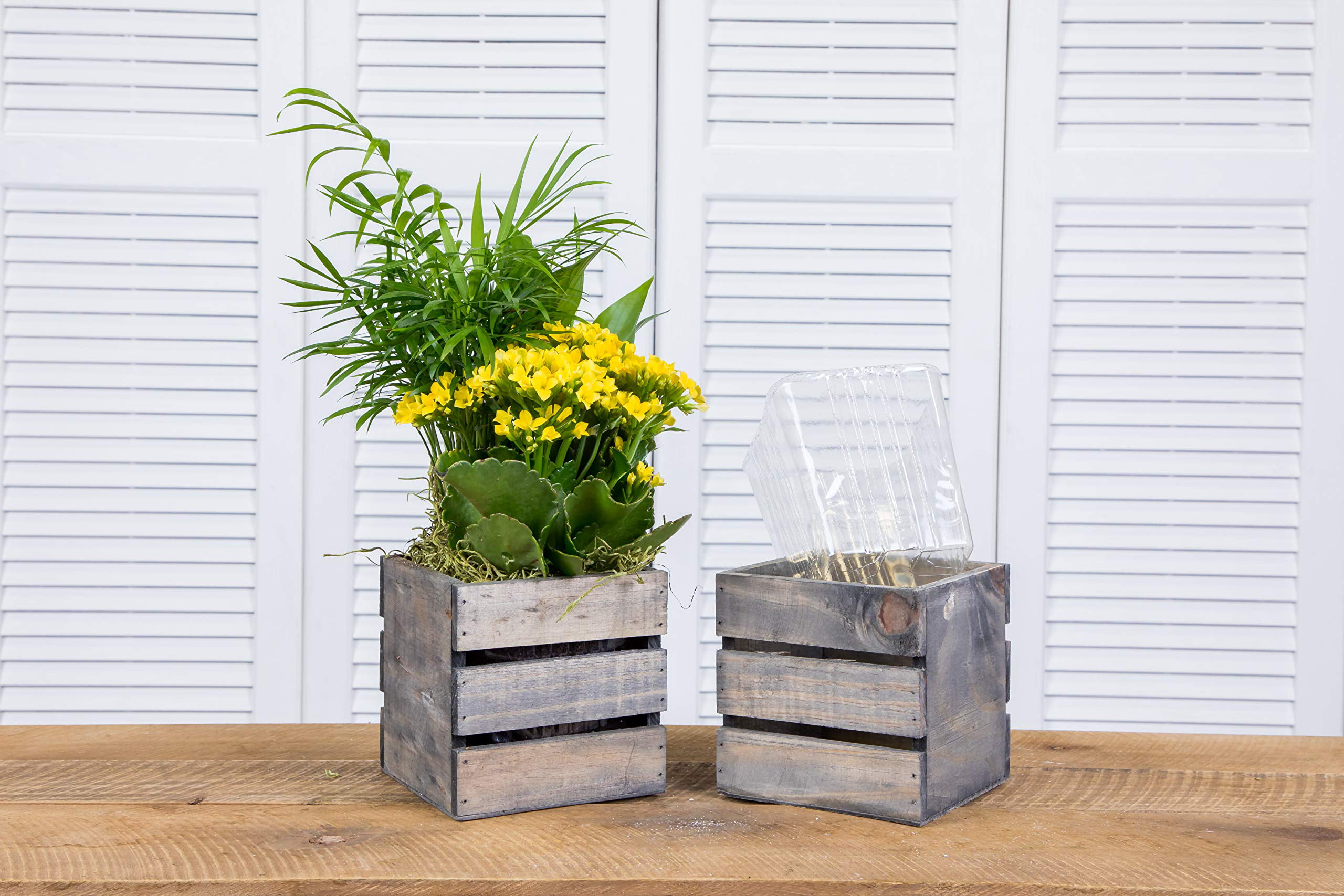 5 inches Natural Wood Rustic Square Planter Boxes Holders Centerpieces  Wedding
