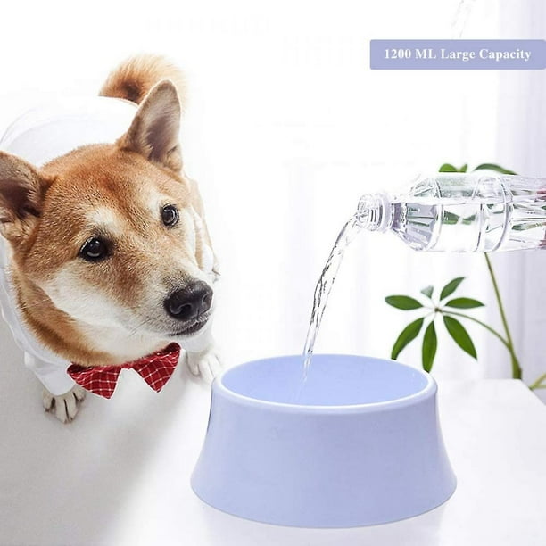 Dog bowl to sales slow down drinking