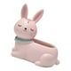 thumbnail image 4 of as s de Pntas s de Bohemio s de Perfectas para de Decoración de Escrito Conejo Soledad Maceta suculenta, 4 of 7