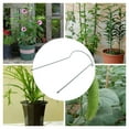 thumbnail image 2 of Plant Support Stake, 8-Pack Half Garden Plant Supports, Plant Support Ring, Garden Border, 2 of 8