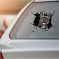 thumbnail image 3 of TIMIFIS Stickers Car Sticker Window Sticker Pet Lover Sticker Cars Crack Decal Walls Laptops Halloween Decorations - Fall, 3 of 3