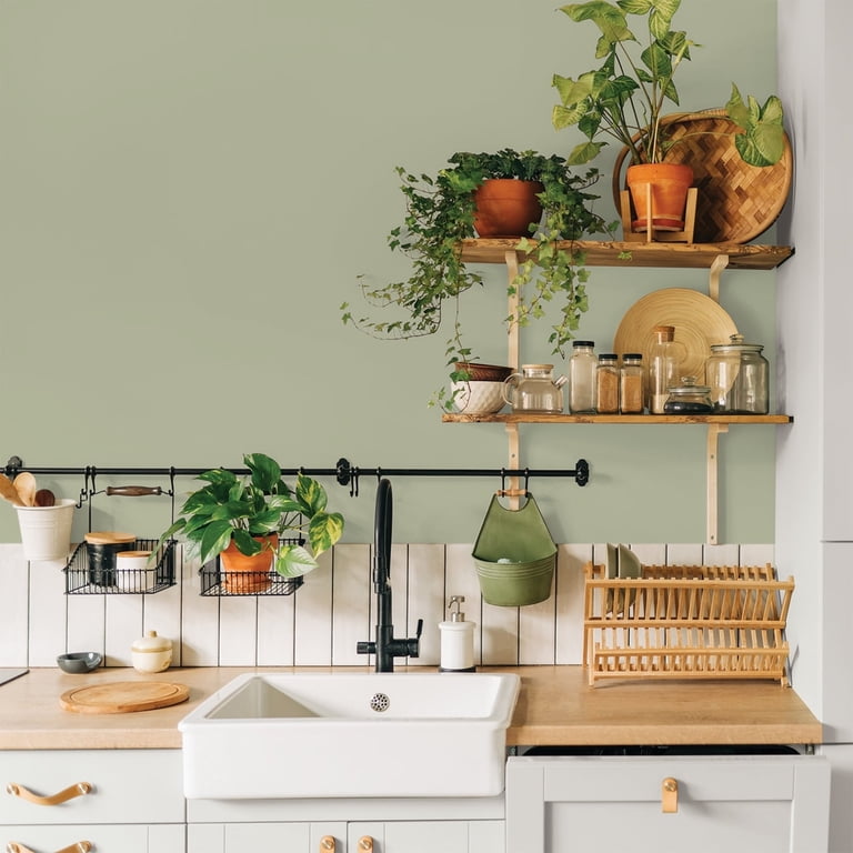 Glidden Fundamentals Olive Sprig / Green, Eggshell Interior Paint