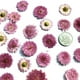 thumbnail image 5 of 10 piezas de flores y hojas secas prensadas para joyería, tarjetas telefónicas, decoración DIY 02, 5 of 9