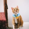 thumbnail image 4 of Hytrove Pañuelo Bandana Para Mascotas Con Ajustable Y Estilo Moderno Para Perros Y Multicolor, 4 of 6
